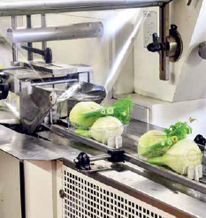 Groenten worden gereinigd op een transportband in een HACCP-omgeving.